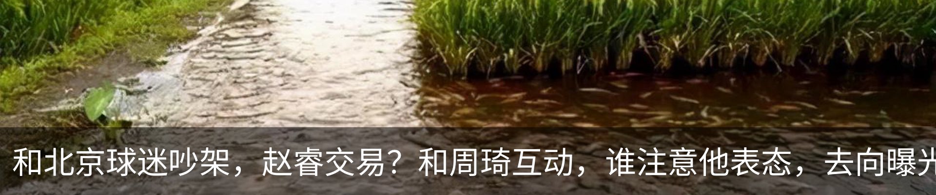 资讯动态